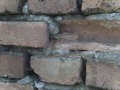 Zdjęcie: 88
