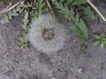 Zdjęcie: 32