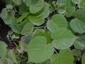 Zdjęcie: 56