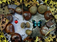 Grafiki: 1