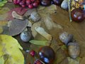 Zdjęcie: 26