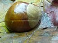 Zdjęcie: 82