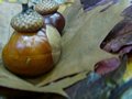 Zdjęcie: 83
