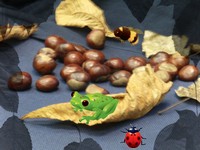 Grafiki: 4