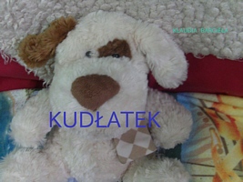 Klaudia B.