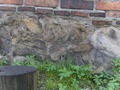 Zdjęcie: 27