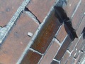 Zdjęcie: 44