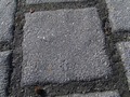 Zdjęcie: 47
