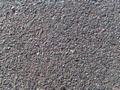 Zdjęcie: 48