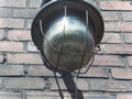Zdjęcie: 96
