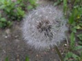 Zdjęcie: 22