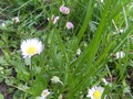 Zdjęcie: 28
