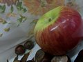 Zdjęcie: 16