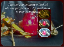 Zdjęcie: 67