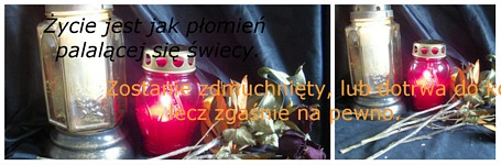 Zdjęcie: 83