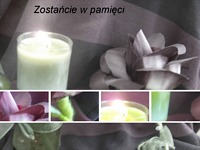 Zdjęcie: 88