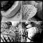 Grafika: 3