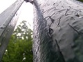 Zdjęcie: 104