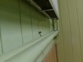 Zdjęcie: 113