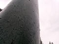 Zdjęcie: 115
