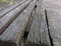 Zdjęcie: 117