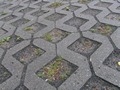 Zdjęcie: 126
