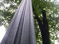Zdjęcie: 128