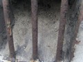 Zdjęcie: 133