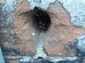 Zdjęcie: 134
