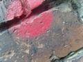 Zdjęcie: 136