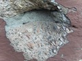 Zdjęcie: 137
