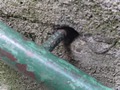 Zdjęcie: 143