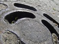 Zdjęcie: 26