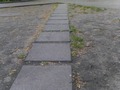 Zdjęcie: 43