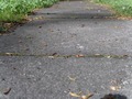 Zdjęcie: 52