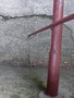 Zdjęcie: 78