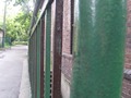 Zdjęcie: 95