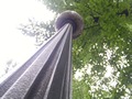 Zdjęcie: 97