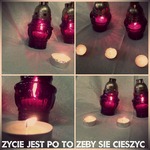 Zdjęcie: 102