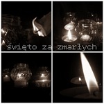 Zdjęcie: 46