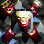 Zdjęcie: 85