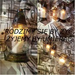 Zdjęcie: 87