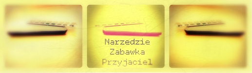 Klasa VIb - rok szkolny 2013/14