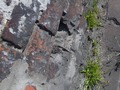 Zdjęcie: 103