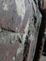 Zdjęcie: 117