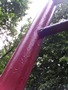 Zdjęcie: 123