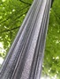 Zdjęcie: 124