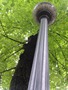 Zdjęcie: 125