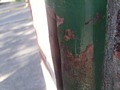Zdjęcie: 13