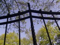 Zdjęcie: 29